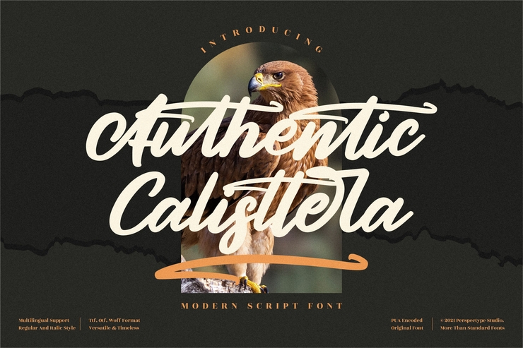 Authentic Calisttera字体 1