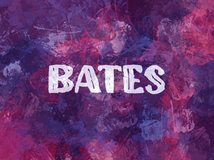 b Bates字体 1