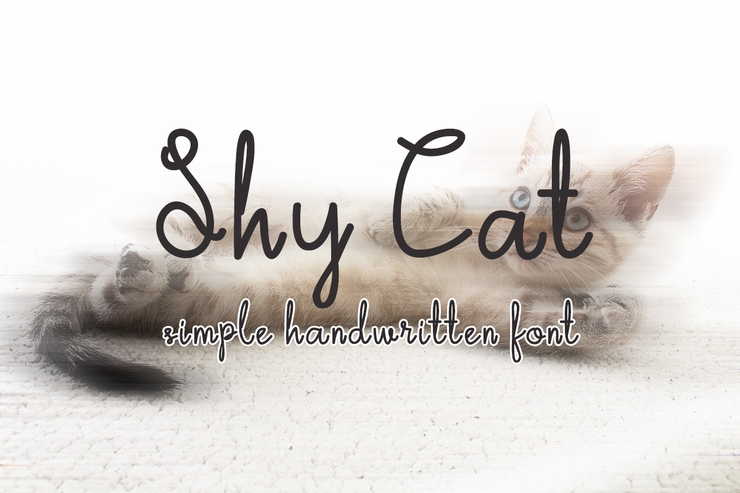 Shy Cat字体 5