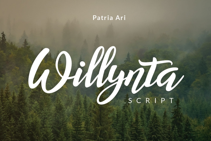 Willynta Script字体 5