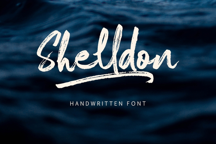 Shelldon字体 3