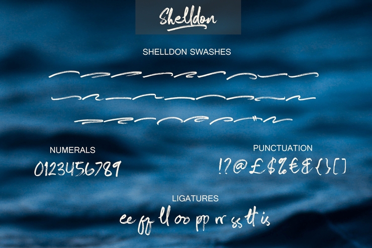 Shelldon字体 4