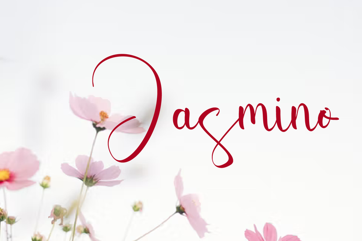 Jasmino字体 3