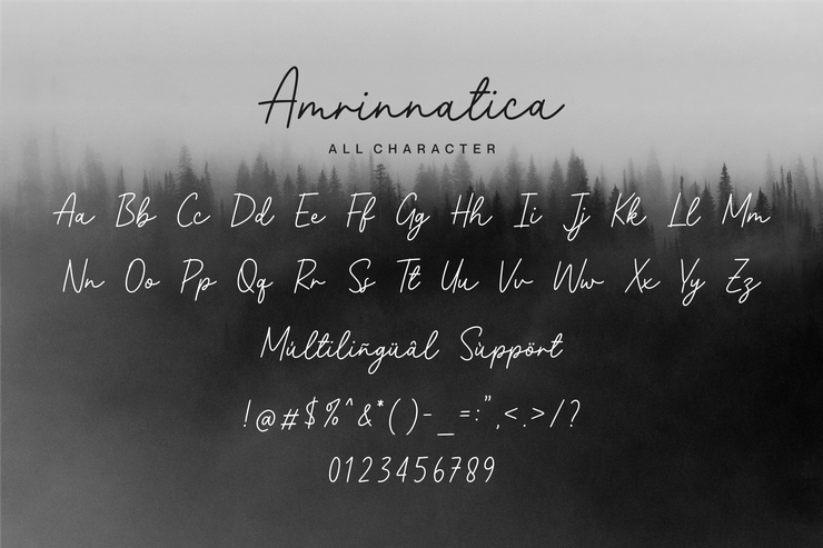 Amrinnatica字体 3