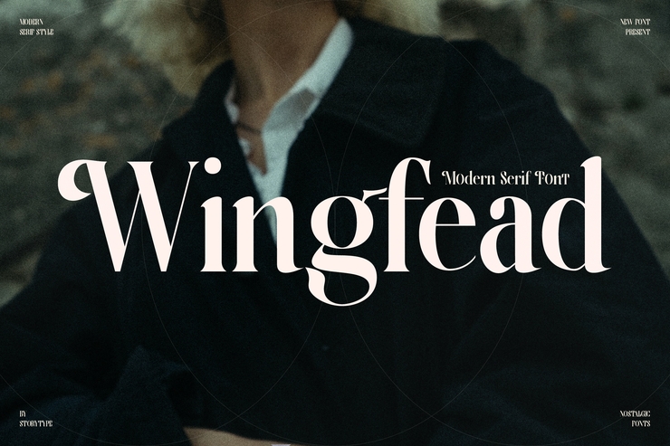 Wingfead字体 6