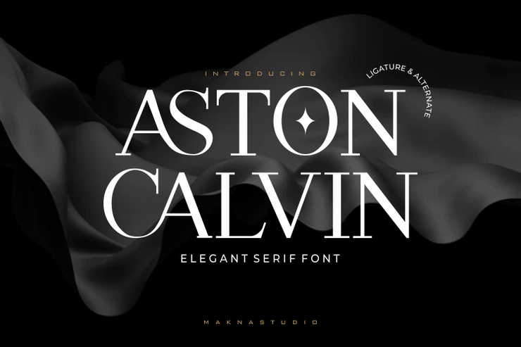 ASTON CALVIN字体 3