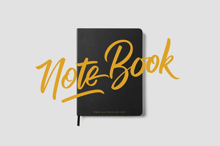 Raph Lanok Future字体 4