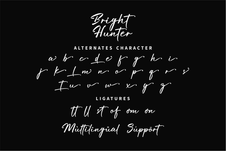 Bright Hunter字体 4