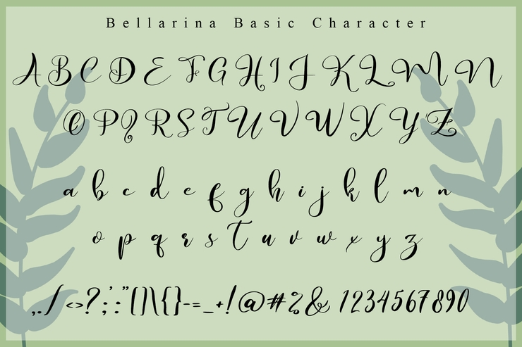 Bellarina字体 4