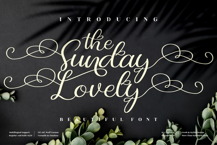 The Sunday Lovely字体 3