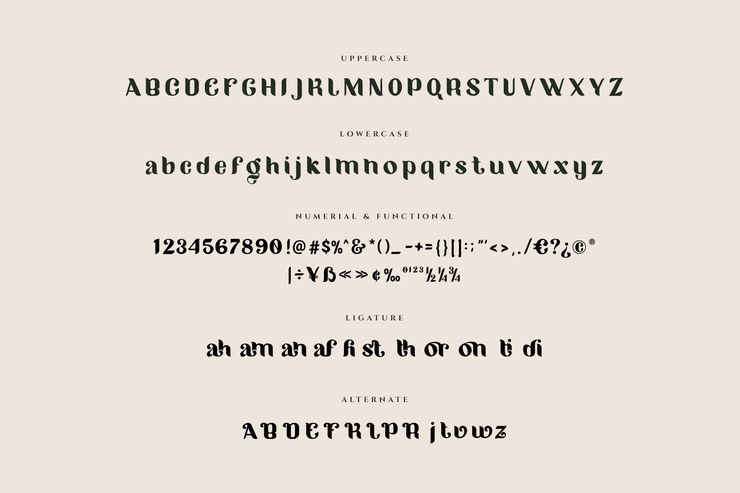 Migano Ligature字体 3