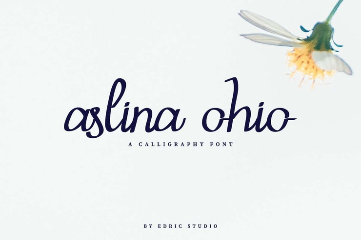 Aslina Ohio字体 1