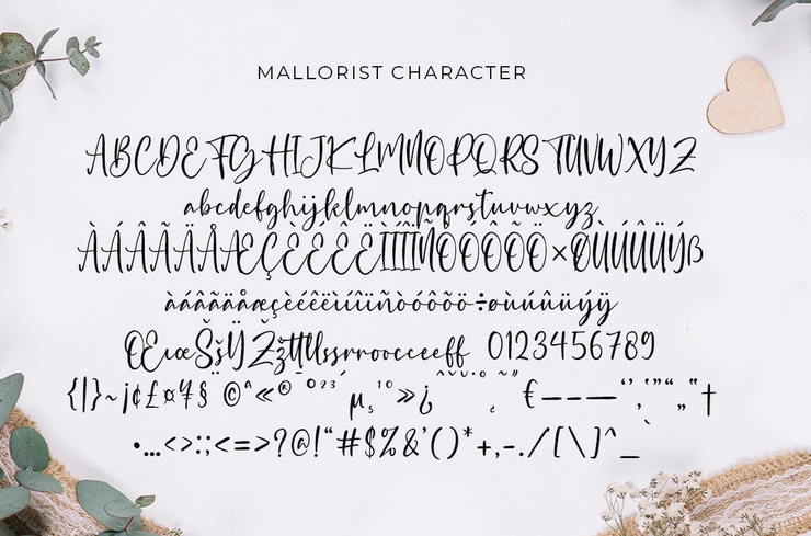 Mallorist字体 4