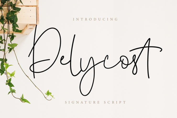 Delycost字体 1