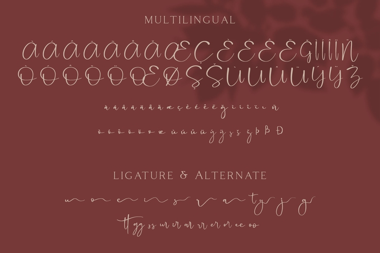 Cattus字体 3
