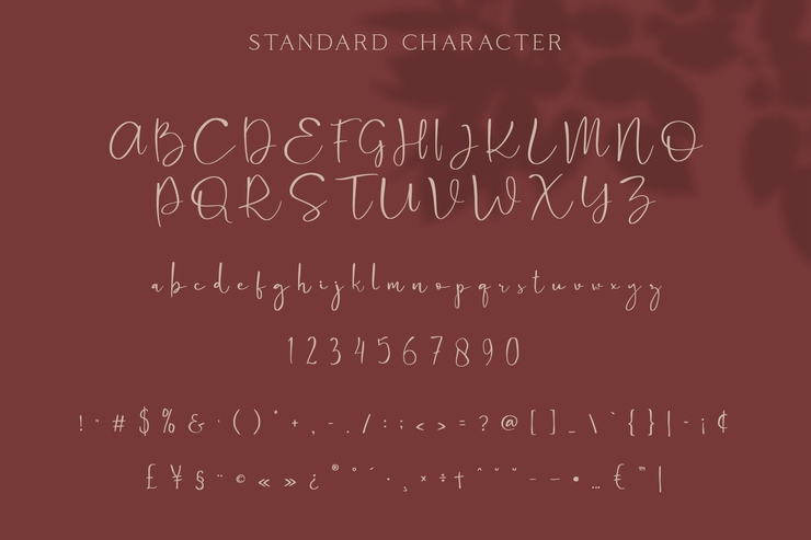 Cattus字体 7