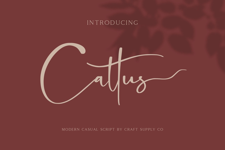 Cattus字体 9