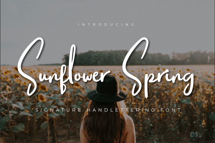 Sunflower Spring字体 1