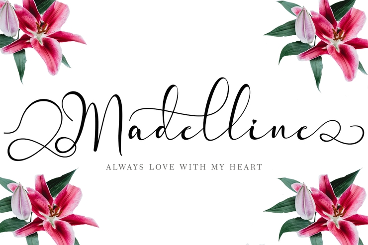 Madelline字体 6