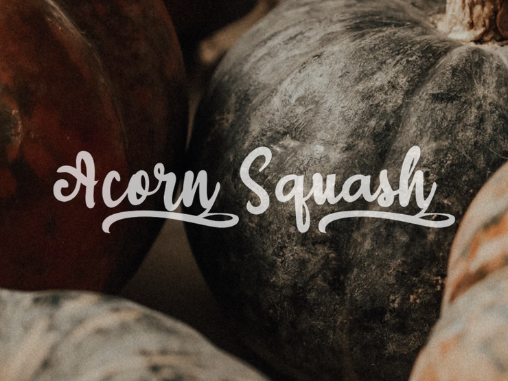 a Acorn Squash字体 1