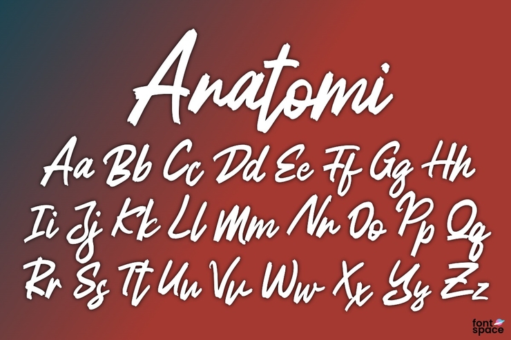 Anatomi字体 1