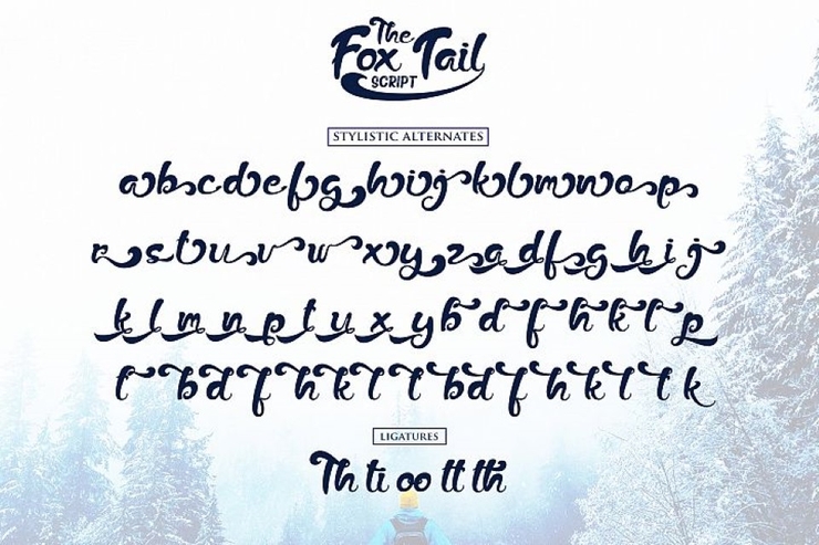 The Fox Tail Sans字体 4