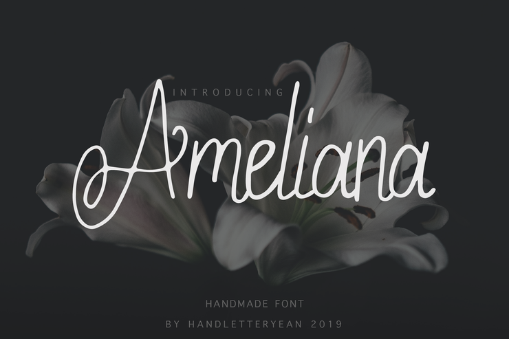 Ameliana字体 2