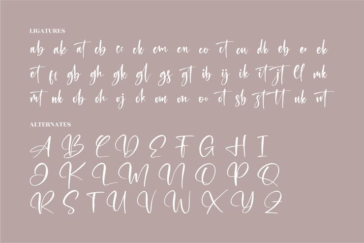 Montana Bright字体 5