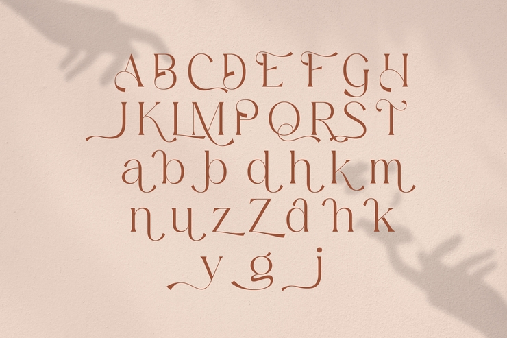 Mediga字体 4