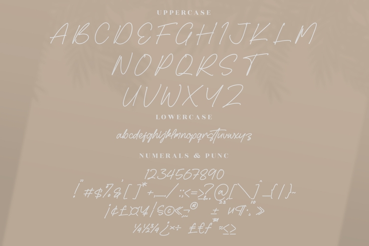 Alexandria Whitehouse字体 3