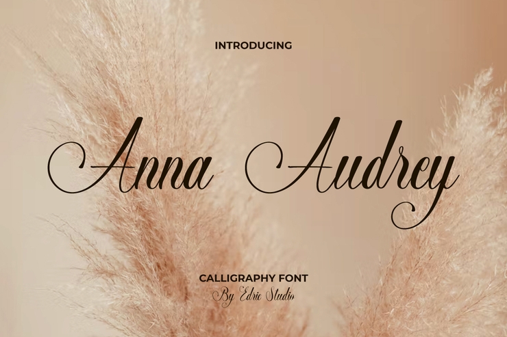 Anna Audrey字体 5