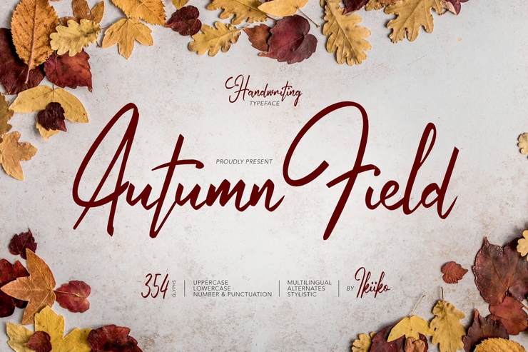 Autumn Field字体 2