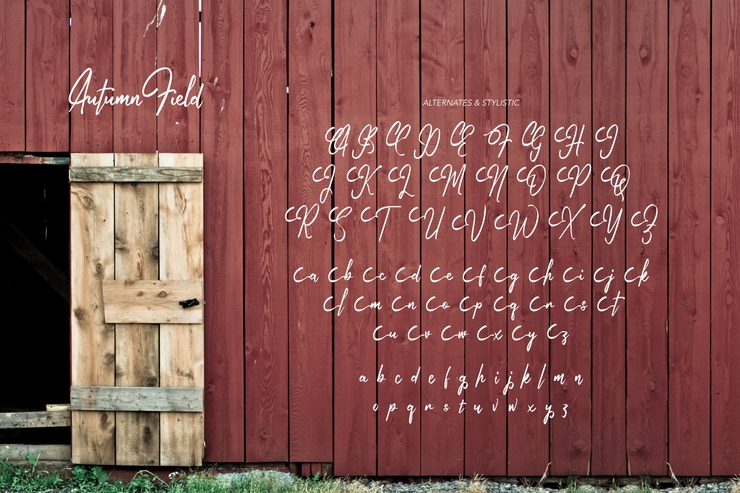 Autumn Field字体 5