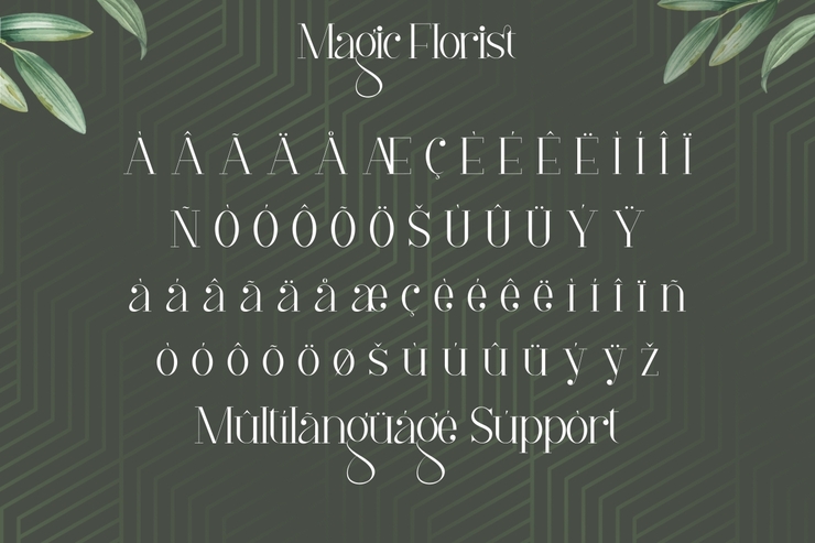 Magic Florist字体 1