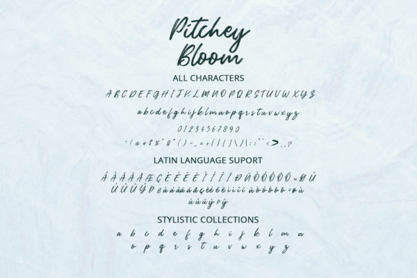 Pitchey Bloom字体 2