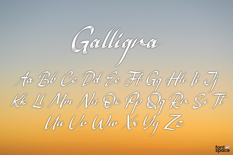 Galligra字体 2