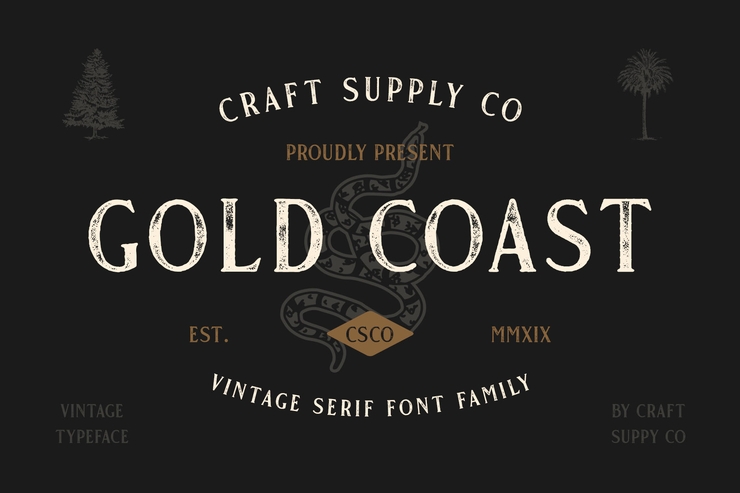 Gold Coast字体 10