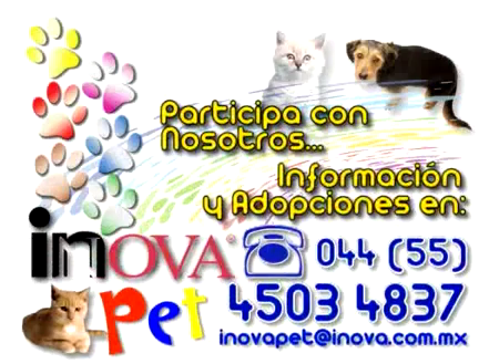 Andrea Karime字体 2