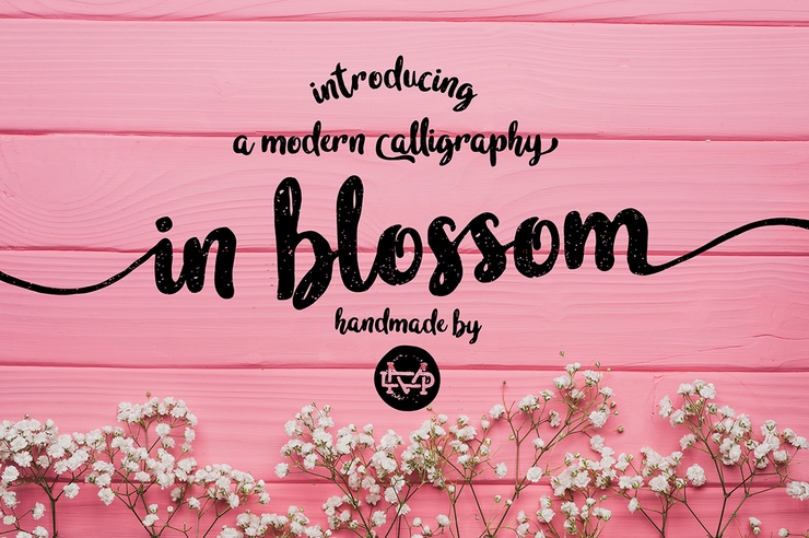 in blossom字体 4