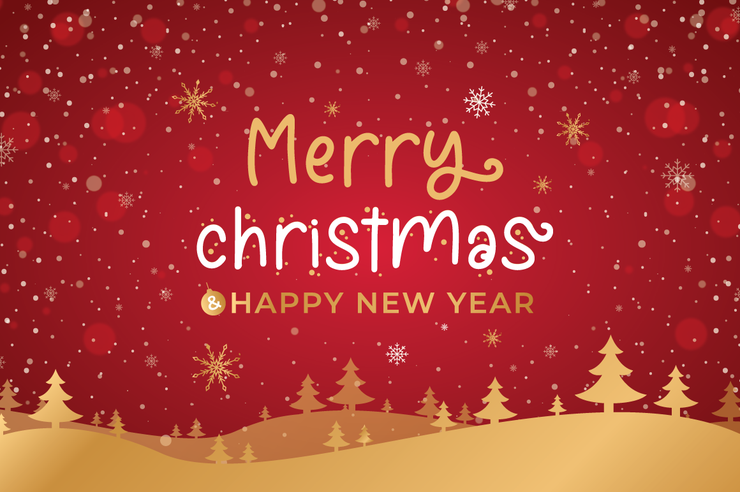 Snowy Dahlia Display字体 3