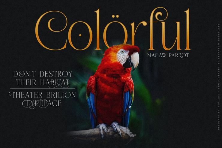 Theater Brillion字体 8