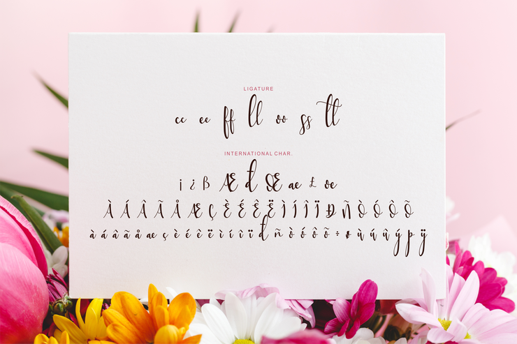 Sttessi字体 1
