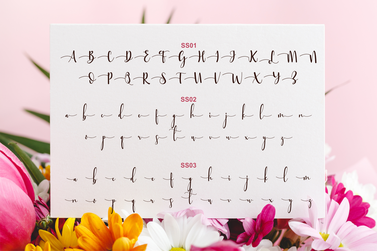 Sttessi字体 3