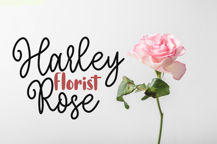 Morning Christmas Script字体 2