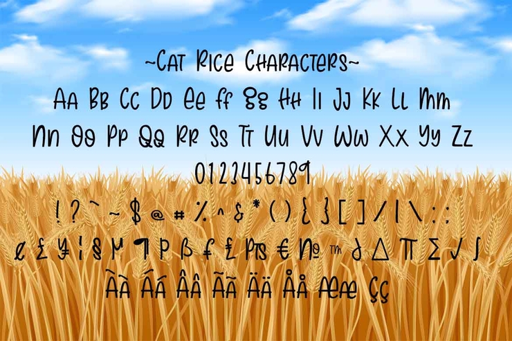 Cat Rice字体 1