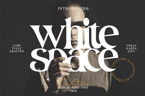 White Space字体 2