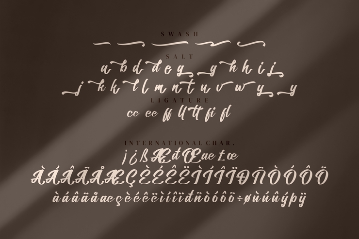 Billead Dandy字体 3