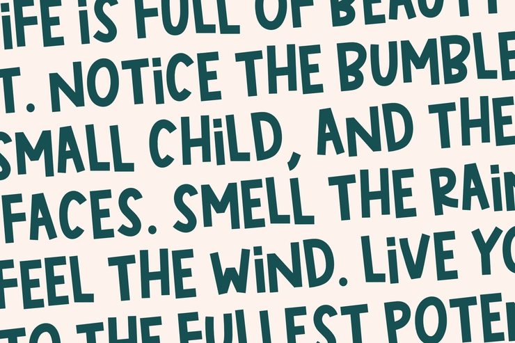 Cheeky Chic _ PERSONALUSE字体 4