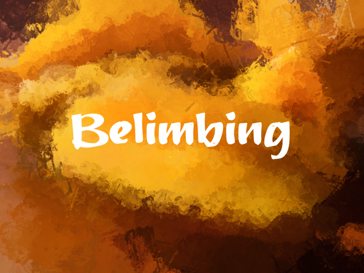 b Belimbing字体 1