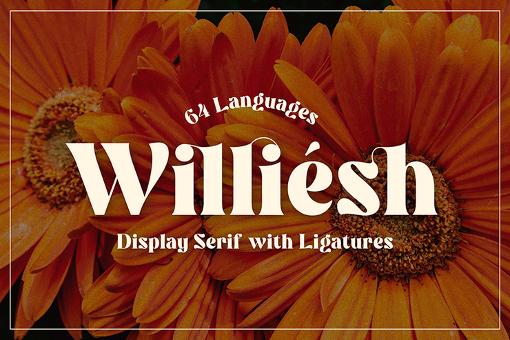 Williesh字体 1